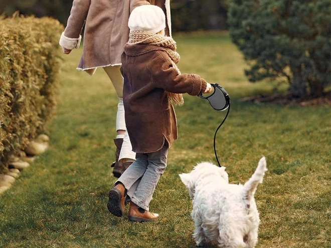 Laisse rétractable automatique pour chiens 5m