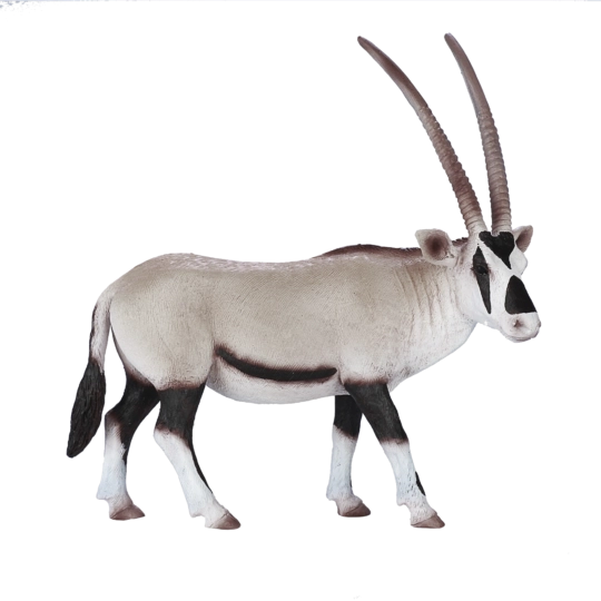 Mojo oryx arabe