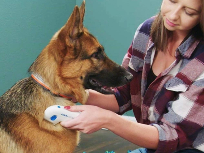 Peigne électrique anti-puces pour chiens et chats