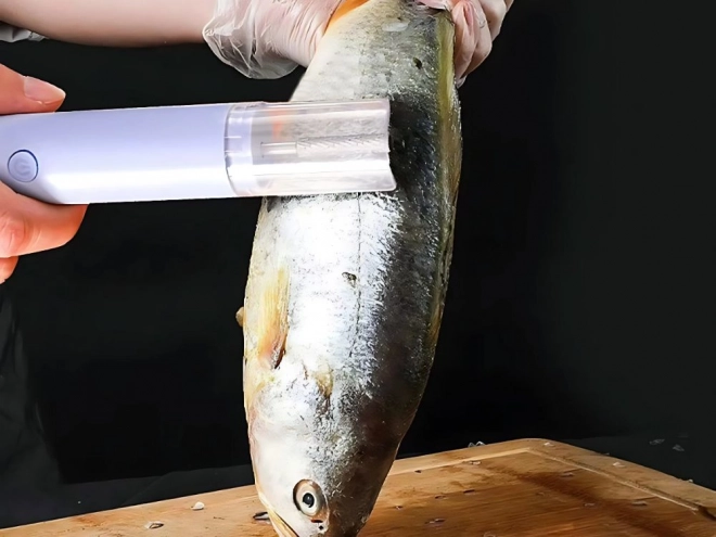 Écailleur électrique de poisson