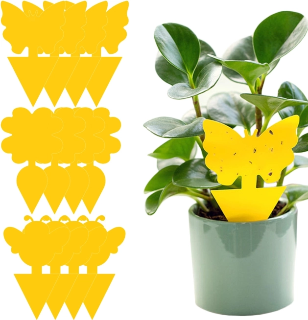 Attraction efficace des nuisibles