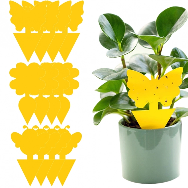 Autocollants adhésifs jaunes pour pots de fleurs
