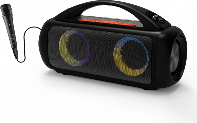 Divertissement karaoké avec entrée micro 6,3 mm