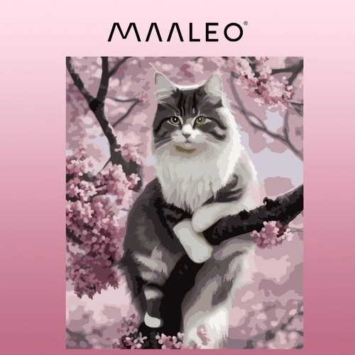 Peinture par numéros 40x50cm - Maaleo cat. no. 22783
