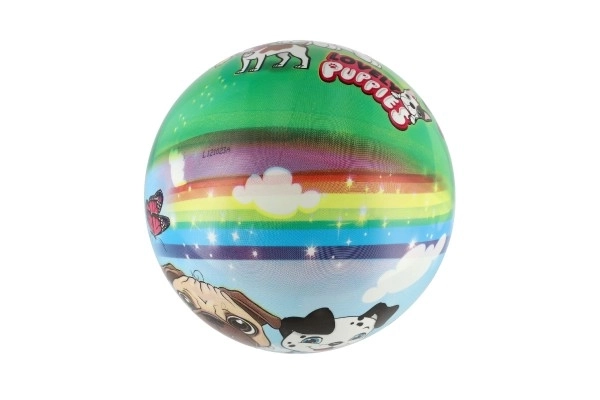 Balle chiens 23 cm