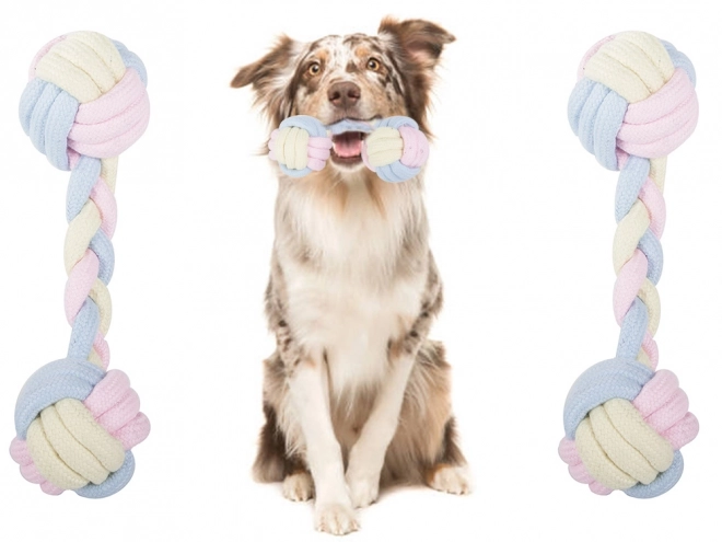 Jouet à tirer pour chiens - Os textile résistant
