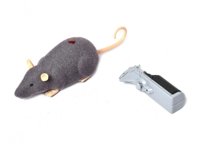 Souris télécommandée
