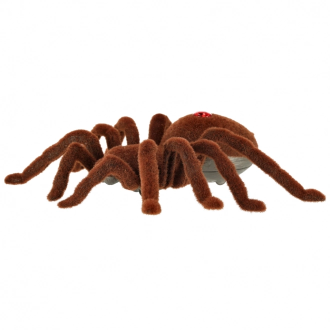 Araignée en peluche avec télécommande