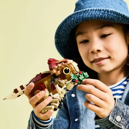 Amusement pour les enfants dès 7 ans