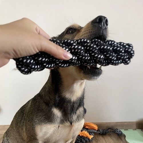 Ensemble de jouets pour chiens - 10 pièces. Purlov 24388
