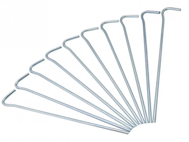 Piquets de tente en acier 31cm 10pcs crochets et boucles