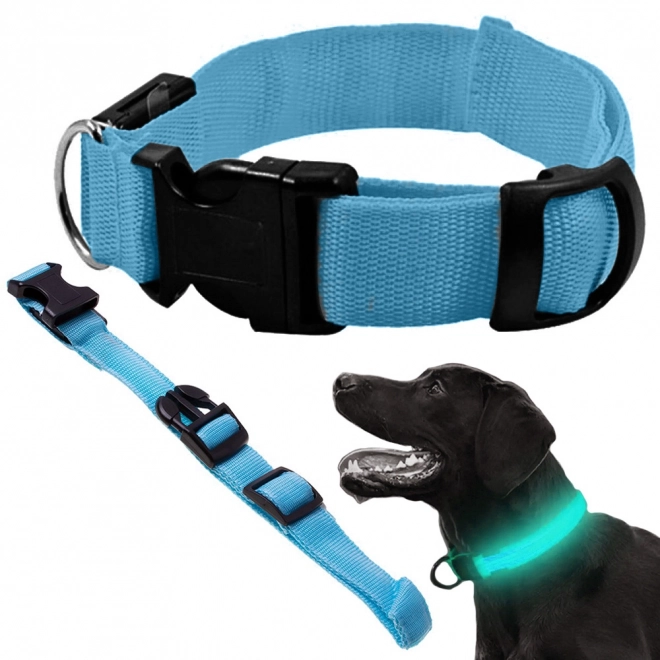 Collier LED réglable pour chiens et chats
