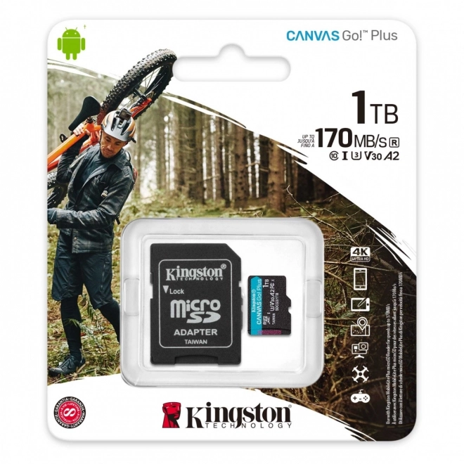 Carte microSD 1TB Canvas Go! Plus