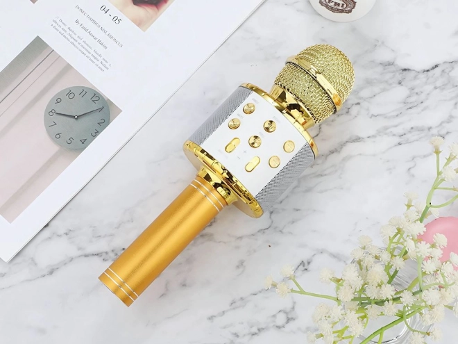 Microphone Bluetooth sans fil pour karaoké