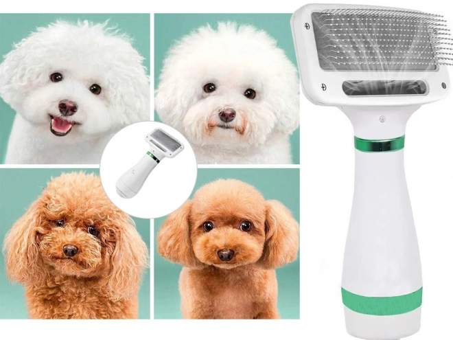 Sèche-cheveux brosse peigne 2en1 pour animaux de compagnie