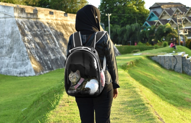Sac à dos pour transporter des animaux de compagnie avec panneau avant transparent