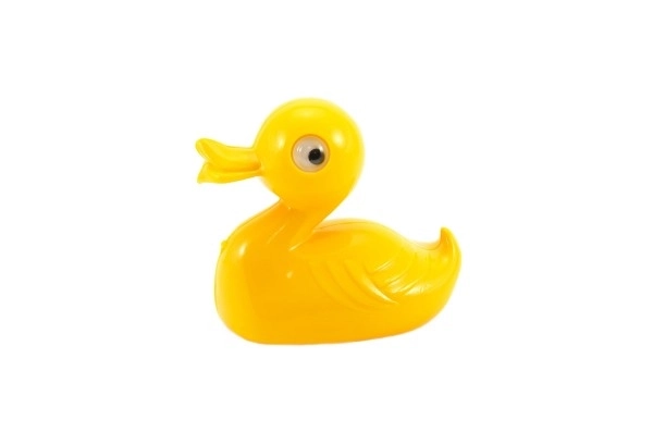 Canard pour l'eau 12 cm