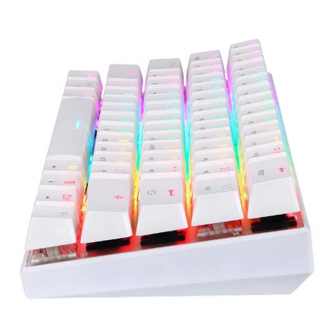 Clavier mécanique sans fil Motospeed SK62 White – Commutateur Bleu