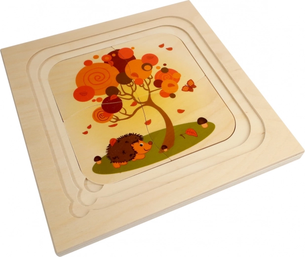 Conception en bois sûre et résistante