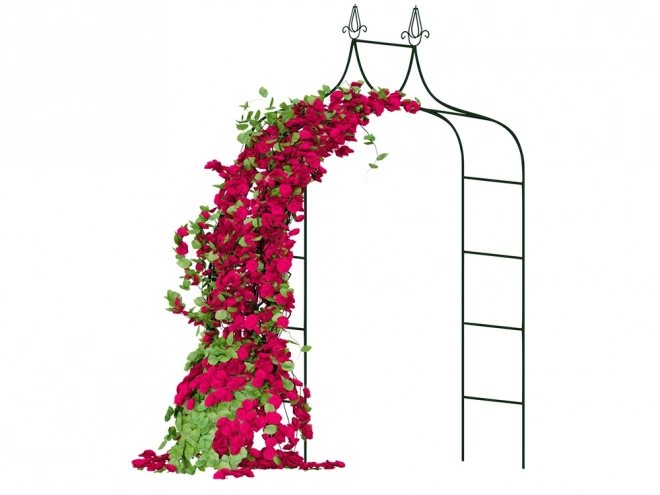 Pergola de jardin pour rosiers
