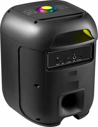 Son puissant 65 W avec bass-reflex