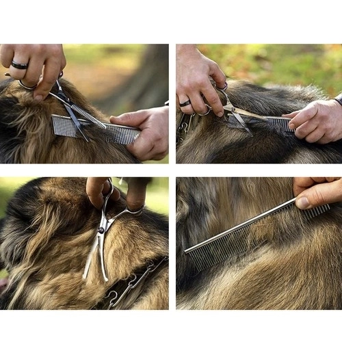 Ciseaux pour chiens Purlov 23186