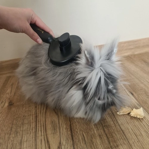 Brosse à poils pour chats