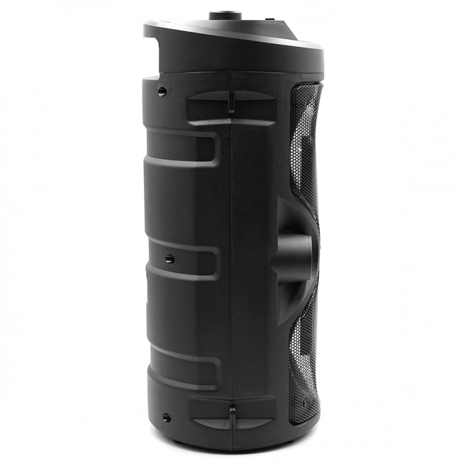 Haut-parleur Bluetooth Harmony avec fonction karaoké