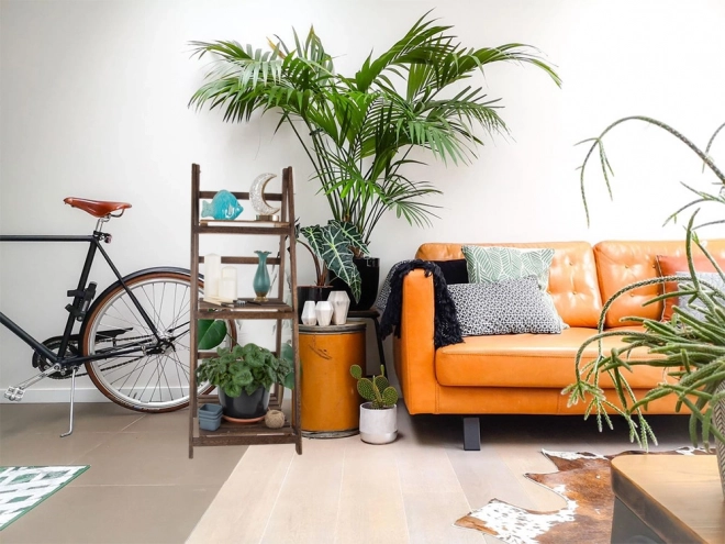 Support en bois à échelle pour plantes