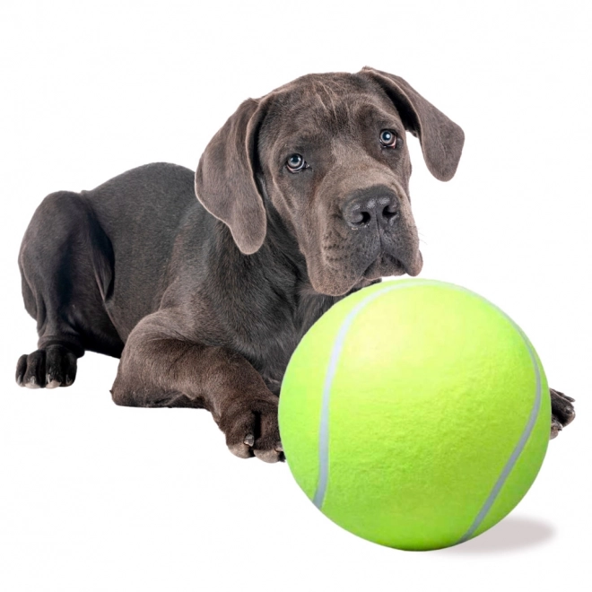 Balle de tennis géante pour chiens