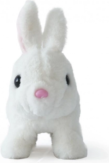 Adorable compagnon pour tous les jours