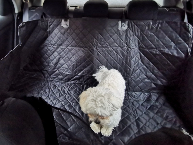 Tapis de voiture pour animaux de compagnie, housse imperméable