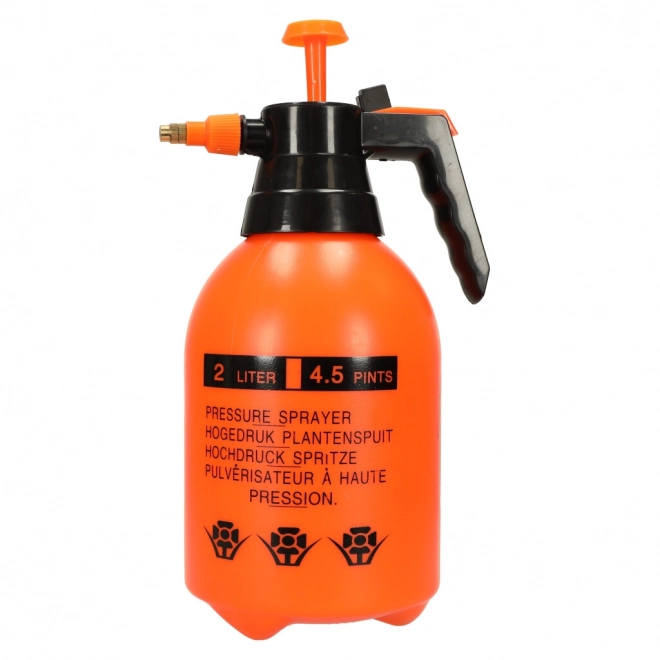 Pulvérisateur à pression manuelle de jardin 2L