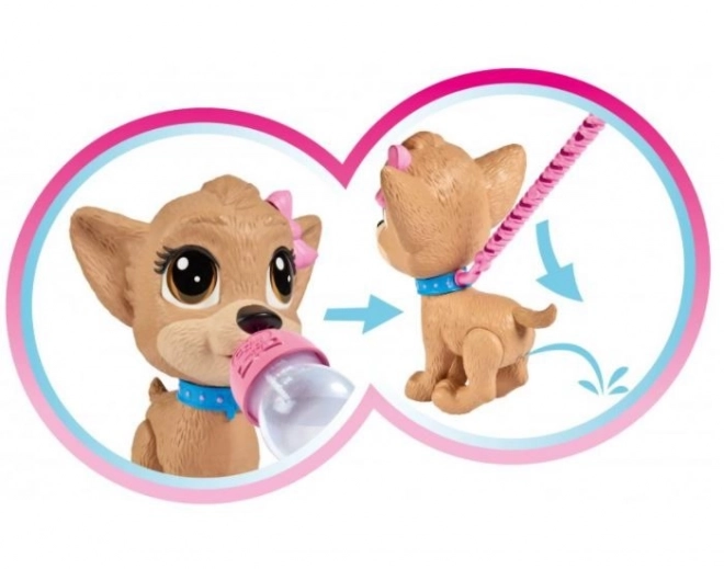 CCL Pejsek Chihuahua Pii Pii