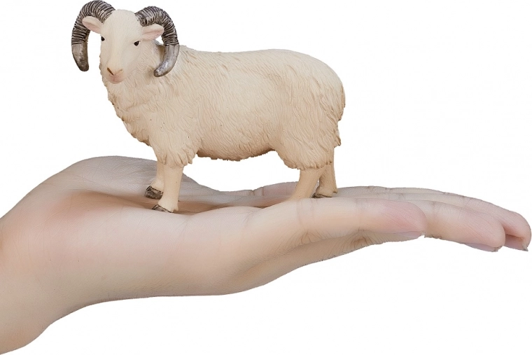 Format compact pour les petites mains