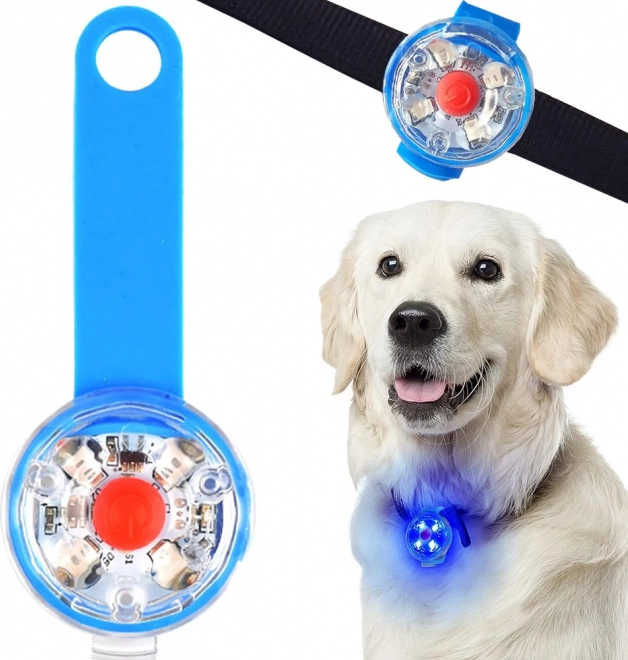Lumière LED pour collier d’animaux