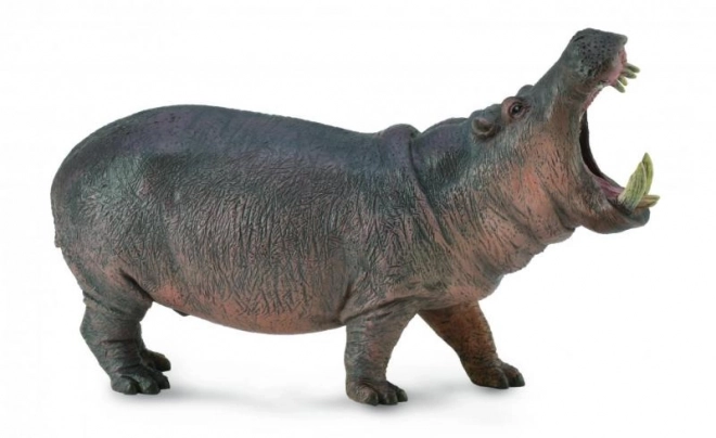 CollectA Hippopotame