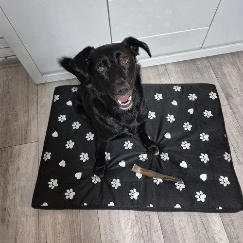Couchage pour chien XXL imperméable