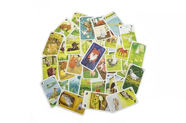 33 cartes de qualité
