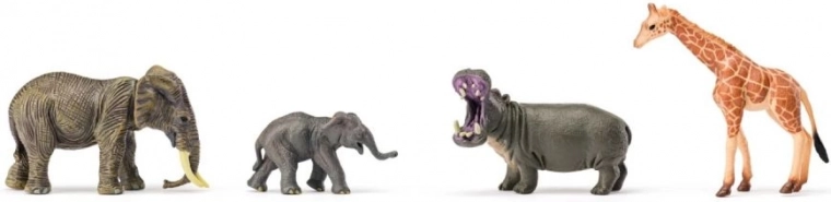 Safari extensible avec petites et grandes espèces