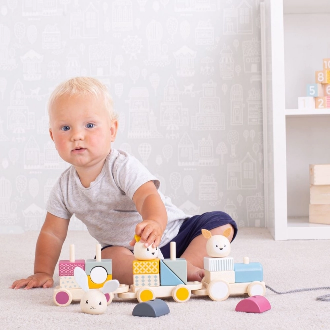 Bigjigs Bébé Train en bois avec des animaux