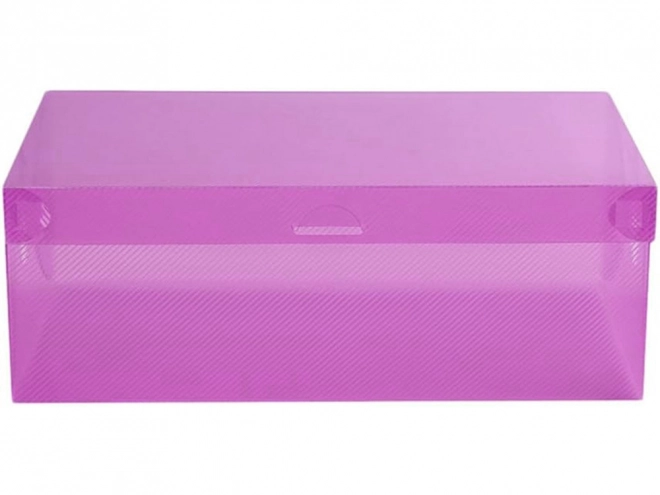 Boîtes à chaussures transparentes multicolores 10pcs