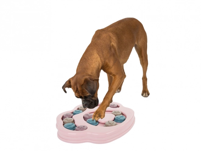 Jouet éducatif pour chiens - jeu logique avec friandise
