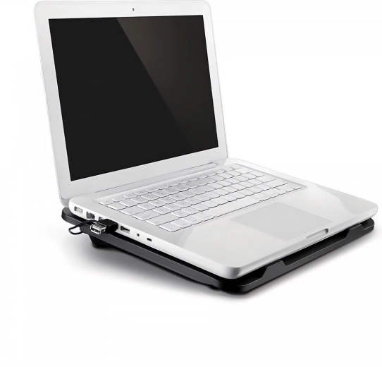 Ergonomie et usage universel