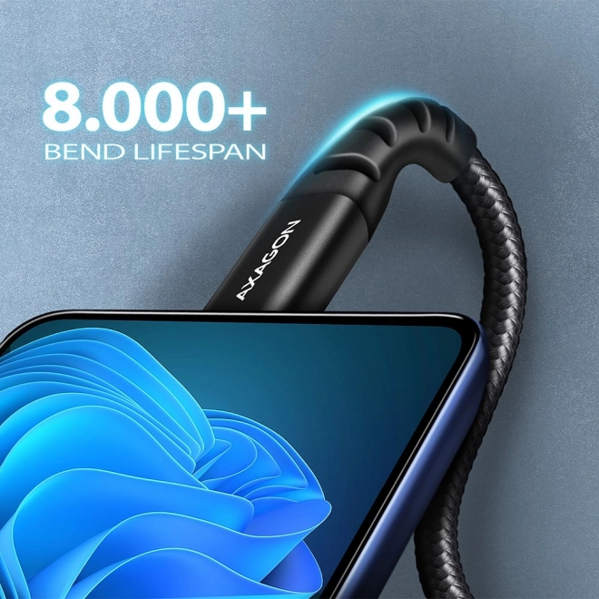 Câble USB Axagon USB-C vers USB-A, 1m, noir