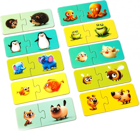 Apprendre en jouant : 10 paires malines