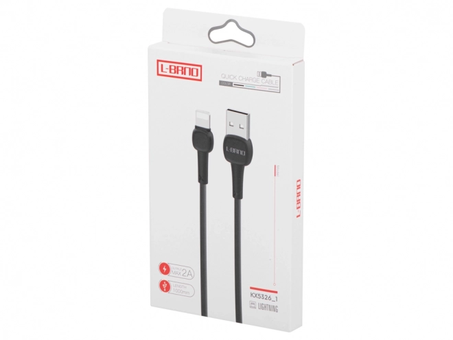 câble Lightning de charge rapide noir