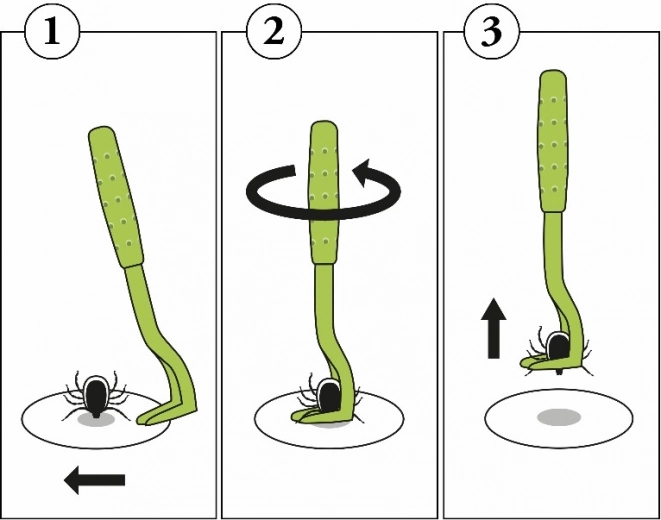 Procédure simple, étape par étape