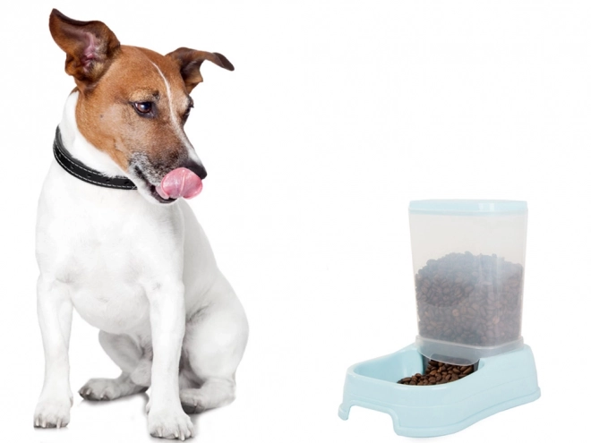 Distributeur automatique de nourriture pour chiens et chats
