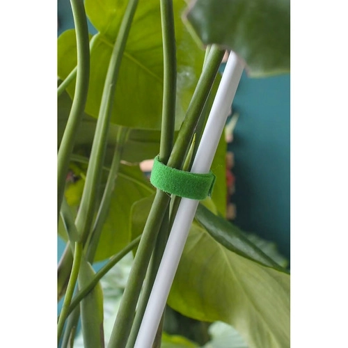 Ruban textile vert Gardlov avec crochet et boucle 5m